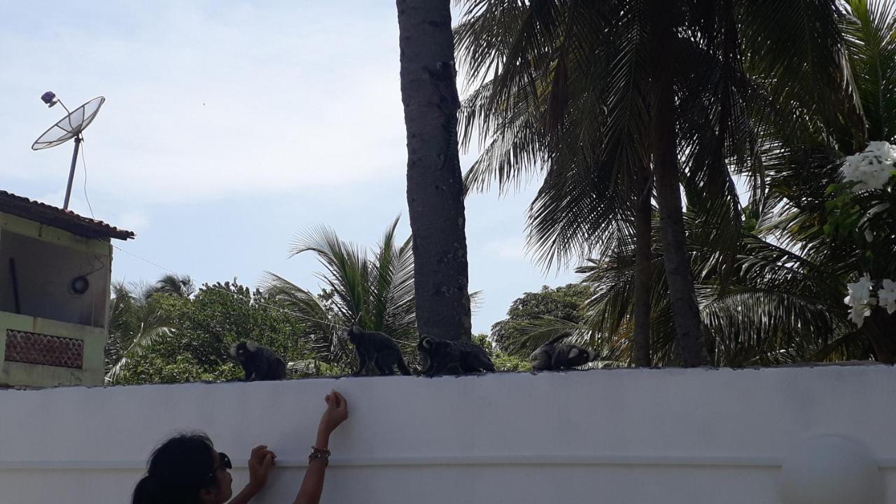 Pousada Caribe Nordestino Tamandaré Exteriér fotografie